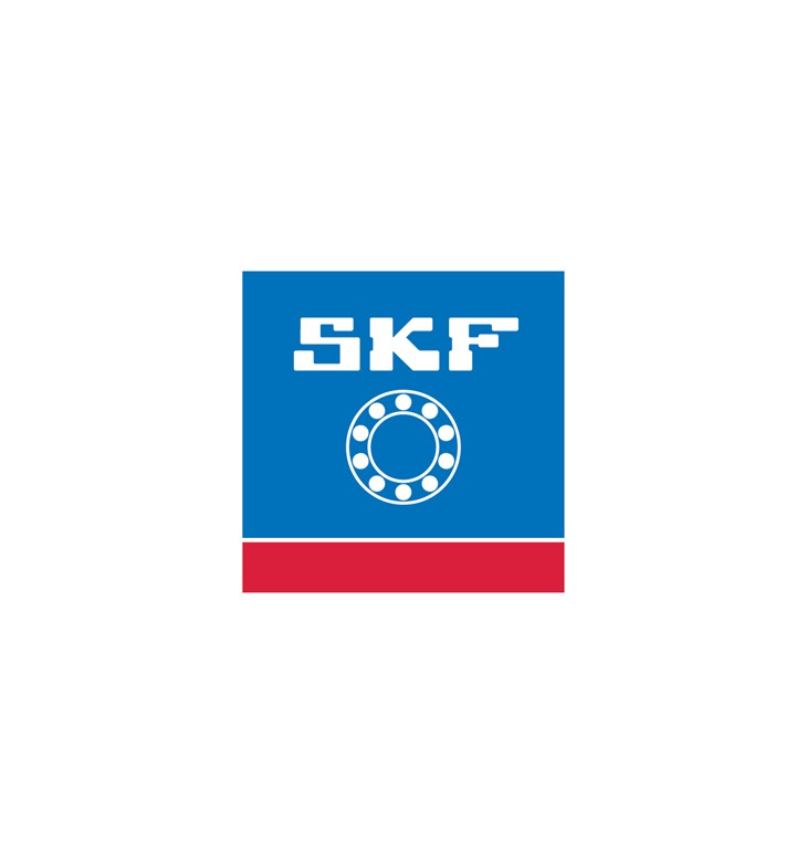 Ložisko SKF 6007 2RS C3